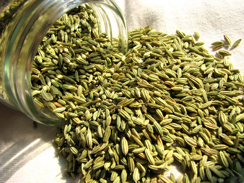 Fennel Seed