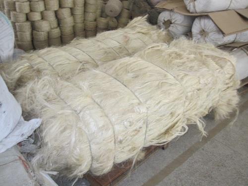 Sisal Fiber