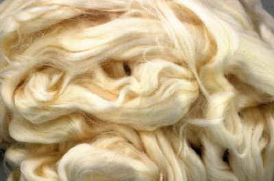 Sisal Fiber