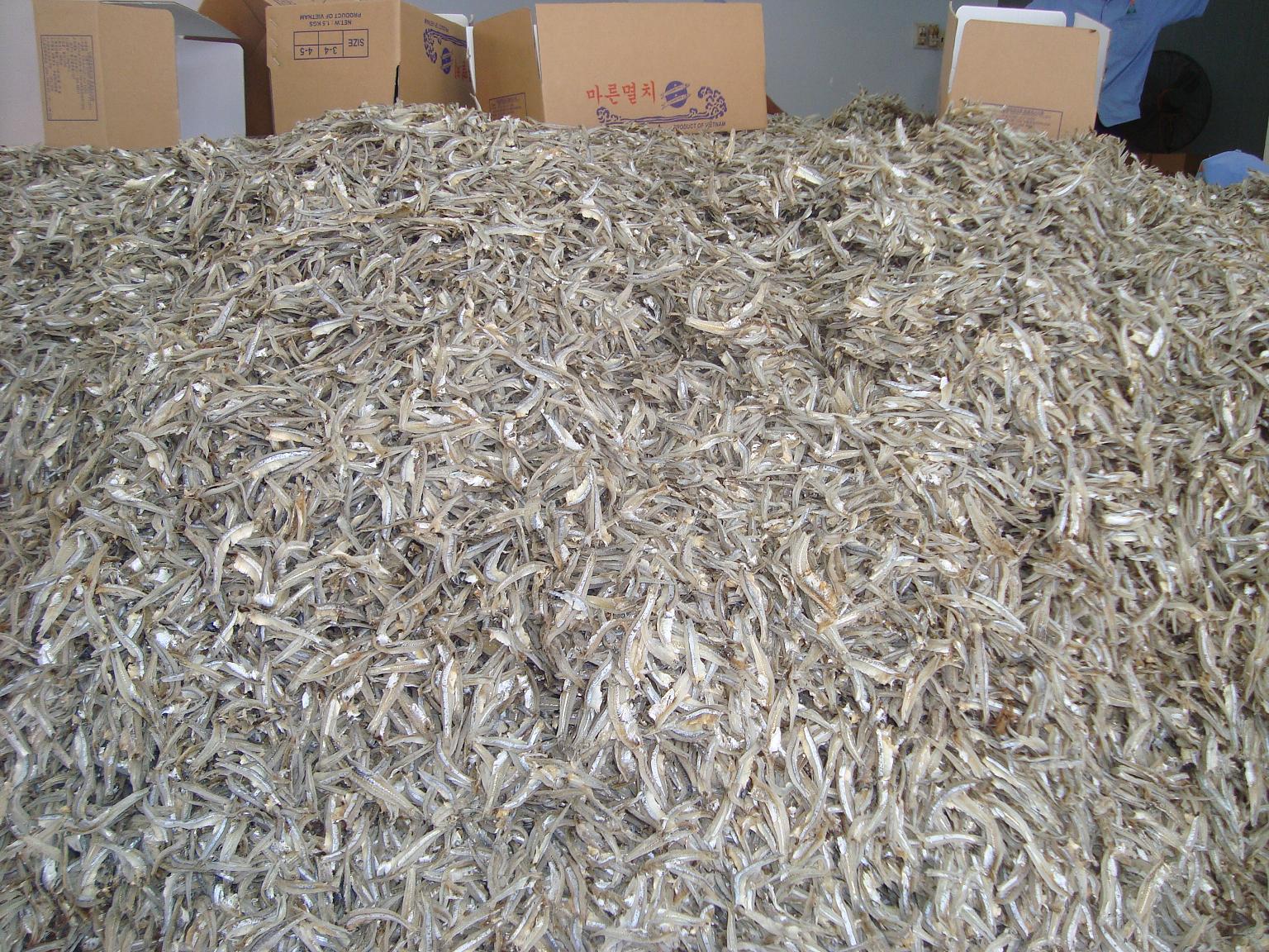 dried anchovy