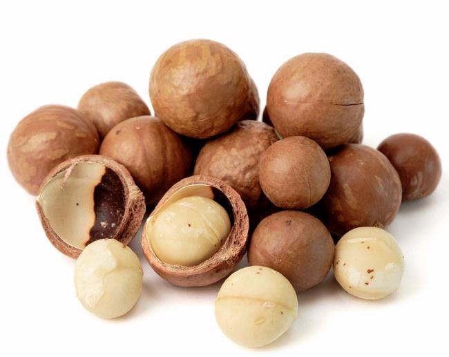 Macadamia nuts