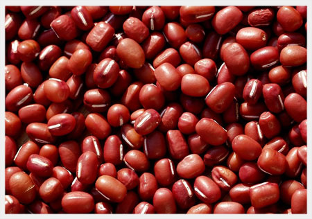 Azuki Bean