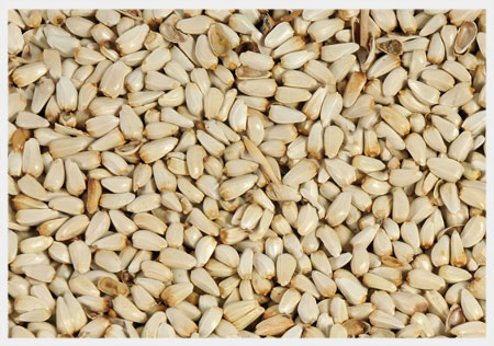 Safflower Seed