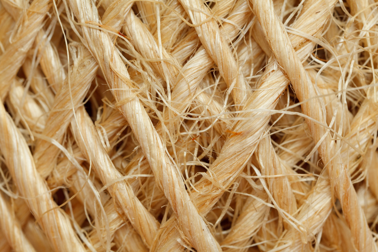 Sisal Fiber